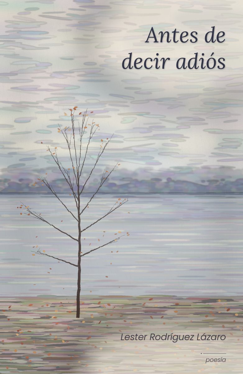 Portada de Antes de decir adiós